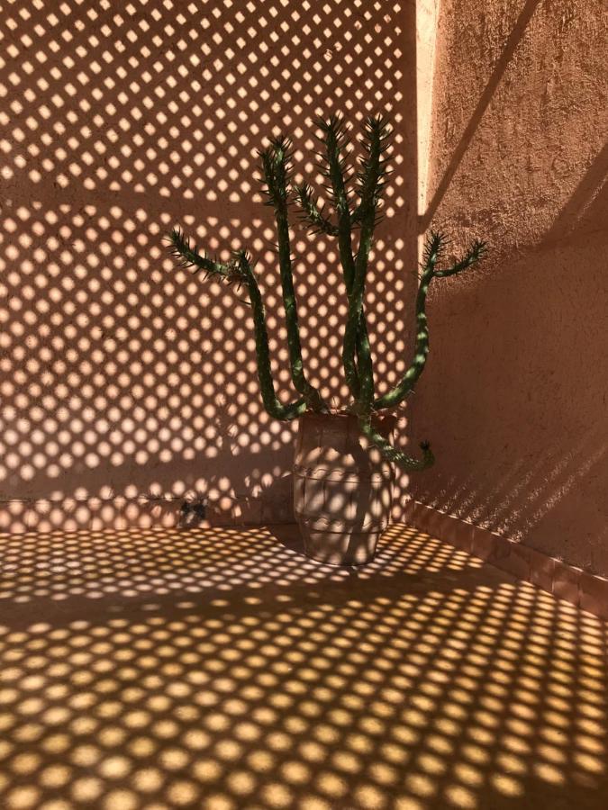 Cote Sud Bed & Breakfast Ouarzazate Exterior photo